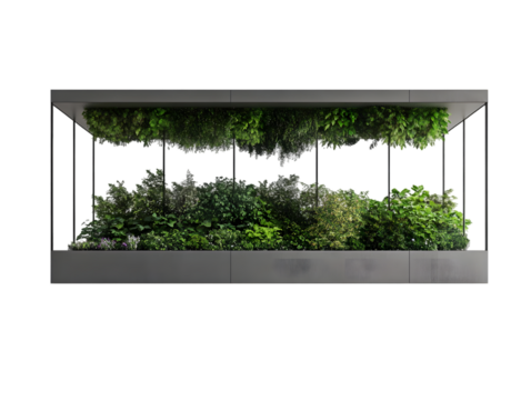 Indoor vertical garden with lush greenery in a modern, minimalist glass and metal planter