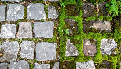 Fototapeta premium Moss-covered cobblestone pathway outdoor garden nature photography lush environment aerial view tranquility and serenity