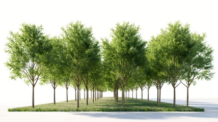 Tree planting initiative promotes sustainability and biodiversity in local landscapes