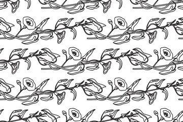 Fototapeta premium Line art botanical floral seamless pattern vector illustration. Black outline repeating bindweed plant with Flowers Stems Leaves in white background. Graphic design for Fashion Cover Textile Wedding