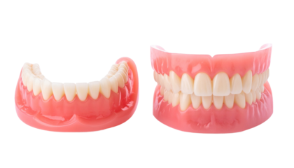 detailed studio shot of complete dentures, showcasing dental prosthetics and oral health. A clear representation of dentures for various purposes