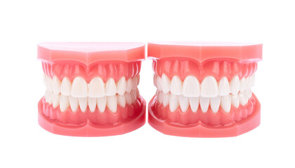 Obraz premium two sets of teeth models displayed side by side, highlighting dental health and the importance of oral care. The teeth are clean and white.