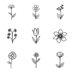 set of flower line art vector design, flower, floral, vector, design, rose, illustration, pattern, art, nature, leaf, set, decoration, plant, vintage, tattoo, drawing, silhouette, element