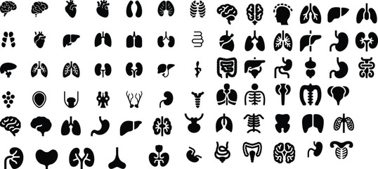 anatomy icons, human anatomy vector, black anatomy glyphs,
