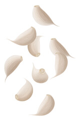 Falling garlic, isolated on transparent background, selective focus. Flying garlic cloves with blurry effect. Can be used for advertising, packaging, banner, poster. Realistic 3d vector illustration