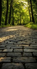 Sunlit Cobblestone Path Through Lush Green Forest