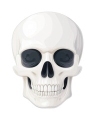 Obraz premium Realistic human skull with detailed anatomy front view, cut out - stock png.