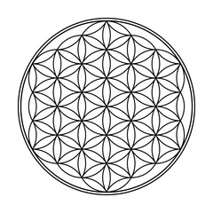 flower of life, sacred geometry pattern フラワーオブライフ