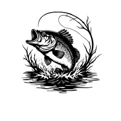 Illustration of bass fish vector 