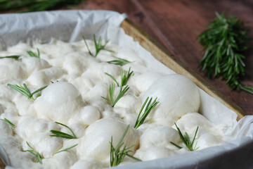 Fluffy bread dough rising in a rectangular pan lined with parchment paper. Showcasing the...