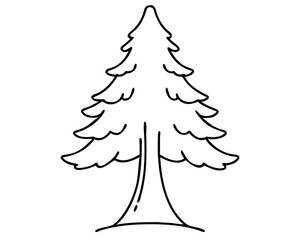 Fototapeta premium Majestic Redwood Tree Illustration, Tall Forest Giant, Iconic Redwood Landscape, Towering Tree Artwork, Transparent Background