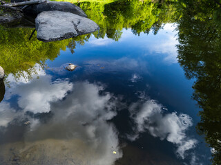 A small pond with rocks and trees reflected in the water