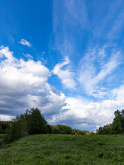 A grassy field with trees and clouds in the sky