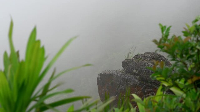 Fog levels increase on a mountain top as an updraft brings heavy mist and dew, reducing visibility.