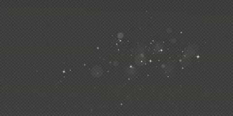 Enchanted Winter Dust with Shining Particles and Christmas Glow. Soft Light Sparkle Effect, Glittering Snow Mist, and Radiant Holiday Shimmer for Festive Design on Transparent Background © TOMA
