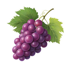 Fototapeta premium A vibrant cluster of purple grapes with lush green leaves against a black background image illustration