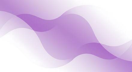 Fototapeta premium Lavender Flow