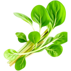 Obraz premium Fresh Green Chard Bunch on Transparent Background