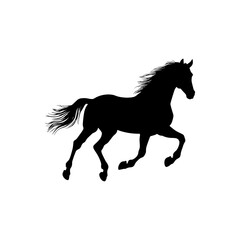 Equine Silhouette: A striking silhouette of a horse galloping gracefully across a vast, open plain, its form defined by powerful muscles and flowing mane.