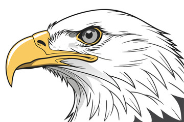 Fototapeta premium 109 white feathered bird, close-up portrait, expressive eyes, striking beak, vibrant yellow, detailed plumage, sharp focus, isolated on white background, photorealistic, high resolution