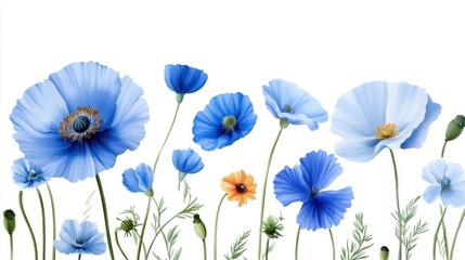 Set of soft blue summer flowers in watercolor style, including wild poppies and garden blooms