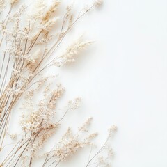 Dried grasses and flowers arranged on a white background