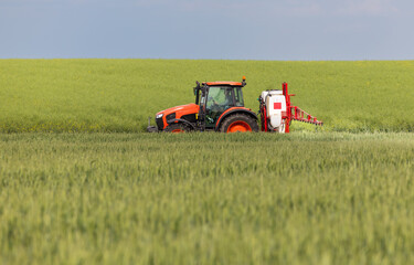 Obraz premium Tractor spraying pesticides wheat field.