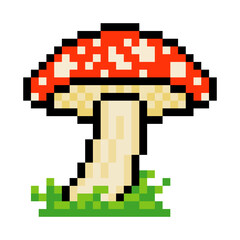 Mushroom with pixel art isolated on white background