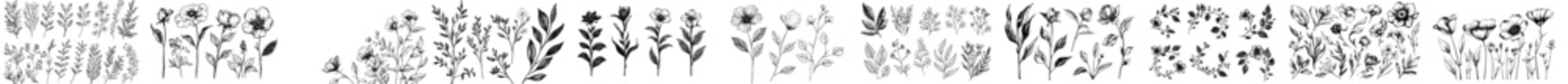 Obraz premium black and white background