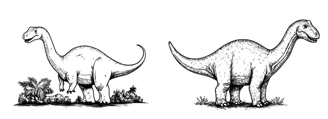 A humorous cartoon Brontosaurus is depicted in isolation on a white background