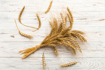 Sheaf of wheat ears close up and seeds on colored background. Natural cereal plant, harvest time...
