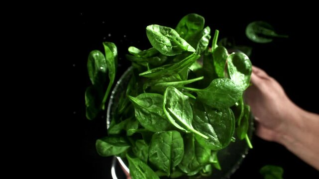 The chef tosses spinach in a saucepan. Filmed on a high-speed camera at 1000 fps. High quality FullHD footage