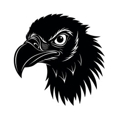 Mad Vulture Stare Vector Illustration Artwork