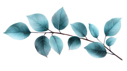 Fototapeta premium A leafy branch with a blue hue