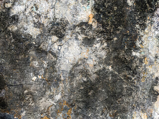 The wall exhibits significant surface damage, characterized by an uneven texture. Deterioration is evident in the peeling paint and embedded remnants of dried vegetation. This contributes to a rough.