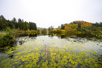 View of the Schöntalweiher and the surrounding nature near Ludwigswinkel.
