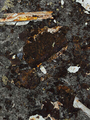 Severely Rusted Metal Fragments on Weathered Surface