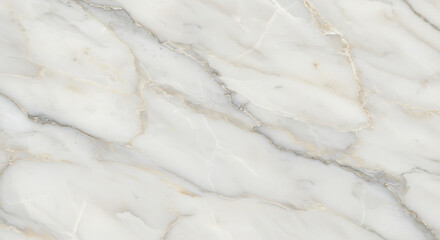 Fototapeta premium Elegant White Marble Surface Seamless Realistic Architectural Pattern