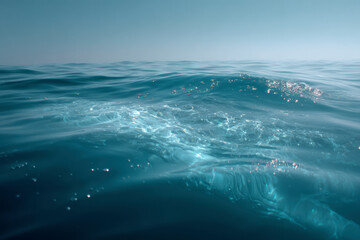 Fototapeta premium Captivating Whale Swimming in Peaceful Underwater Setting