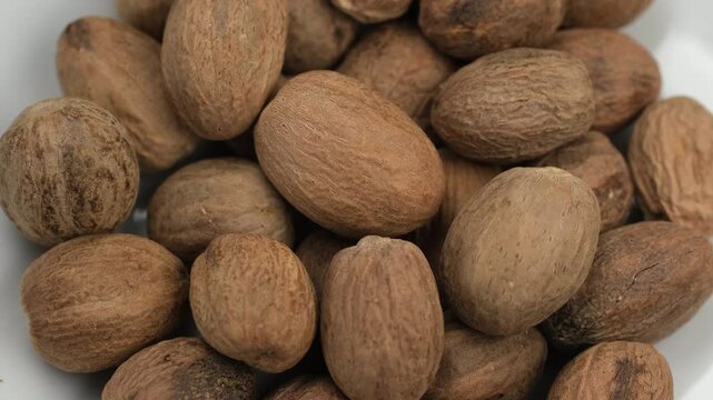 Dried Spice nutmeg close up, rotation