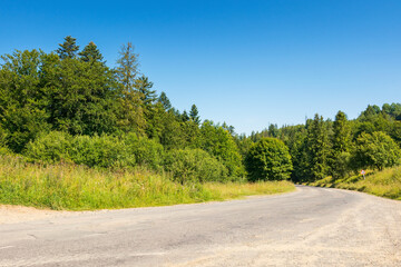 pass through green deciduous forest. journey through countryside. old road in carpathian mountains....