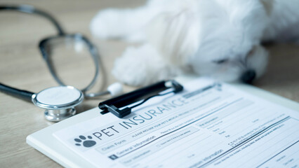 Pet insurance form and stethoscope on the floor, with a white puppy nearby, creating a strong message of responsible pet ownership.