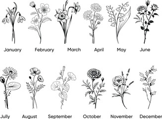 12 Birth month flowers including Carnation, Violet, Daffodil, Daisy, Lily of the Valley, Rose, Water Lily, Poppy, Aster, Cosmo, Chrysanthemum and Narcissus for printing. Vector flowers set collection.