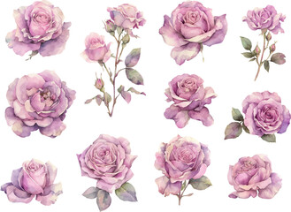 Watercolor Spring Flowers Clipart