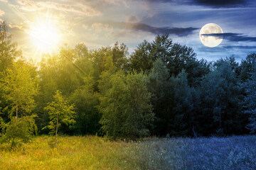 landscape with forest on the hill on summer solstice. day and night time change concept. scenic view of blooming alpine pasture with sun and moon at twilight. vacation season in european countryside