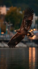 Obraz premium Majestic bald eagle soaring over water at dusk