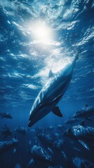 Fototapeta premium Majestic Dolphin in Deep Ocean