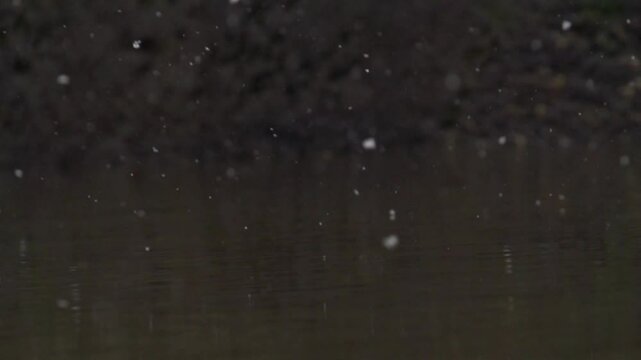 Flocons tombant sur de l'eau