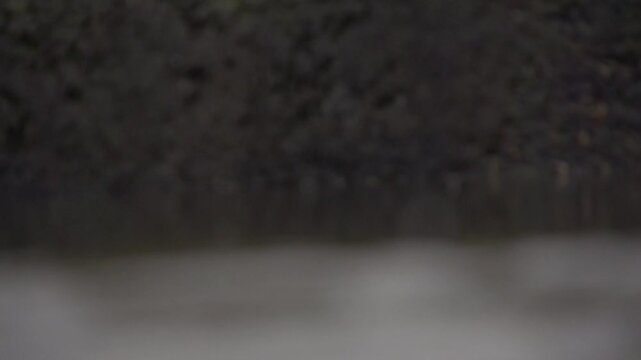 Flocons tombant sur de l'eau