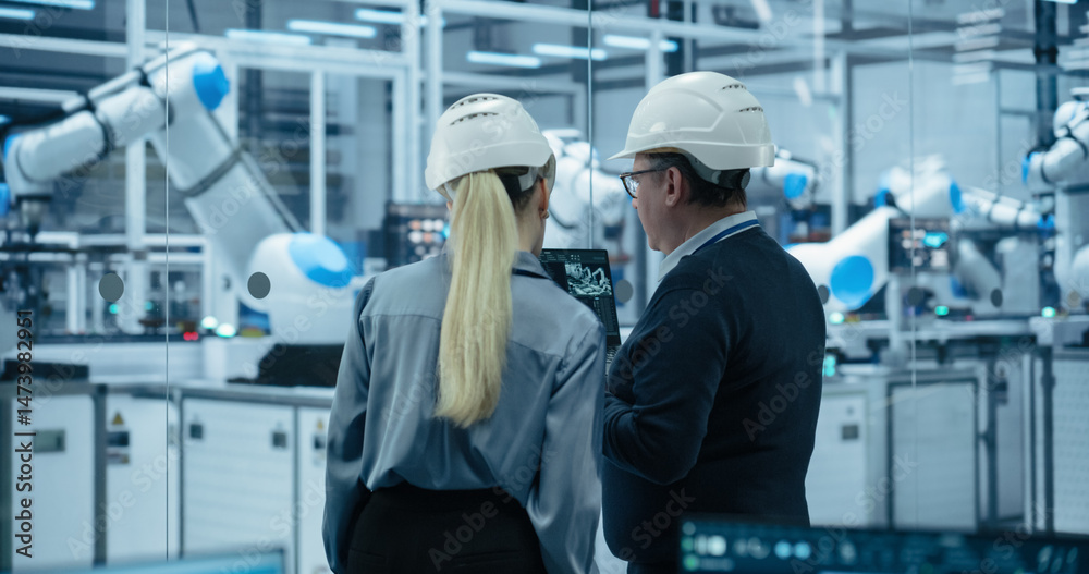 Aufkleber electronics factory: female project manager and engineer in hard hats, talking, using laptop. monito